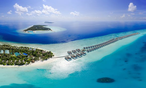 Best Resorts in the Maldives for Diving Enthusiasts